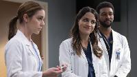 Greys Anatomy